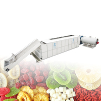 Topverkopers Automatische Elektrische Verwarmings-Meshbanddroogmachine voor Kelp, Kardemom, Tomaten, Rode Dadels & Kurkuma