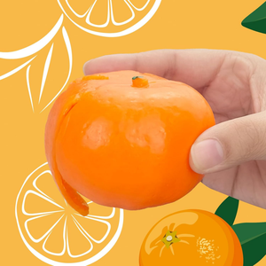 Juguetes antiestrés JITENG con forma de <span class=keywords><strong>naranja</strong></span>, suaves y perfumados, simulación de fruta, juguetes para apretar, regalo de cumpleaños, juguete novedoso - Product Image 3