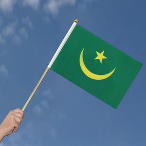 Venta al por mayor 14*21cm Mauritania mano ondeando banderín bandera gran oferta países globales con varilla de madera bandera personalizada - Product Image 4