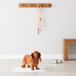 Tappetini Assorbenti <span class=keywords><strong>per</strong></span> Cani e Cuccioli con Design a 5 Strati Anti-Perdita e Superficie ad Asciugatura Rapida <span class=keywords><strong>per</strong></span> Addestramento, <span class=keywords><strong>Pannolini</strong></span> <span class=keywords><strong>per</strong></span> Animali Domestici Profumati - Product Image 6