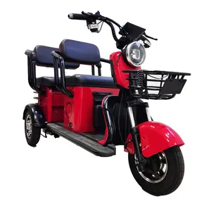 Putian זול Eec Trike E אופני חשמלי תלת אופן לשימוש קשישים