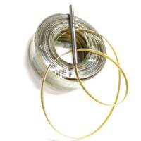 Kabel Pengukur Kedalaman Air dengan Lapisan PE PU 30m, Dilengkapi Probe 14mm, Pengganti Meter Kedalaman Air untuk Meter Kedalaman Air Tanah di Sumur Bor
