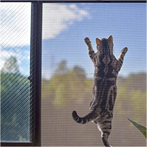 Tự Làm Patio Sàng Lọc Lưới Chống Muỗi Fly Tuff <span class=keywords><strong>Net</strong></span> Inflatable Pool Movie Screen Sợi Thủy Tinh Côn Trùng Màn Hình - Product Image 3