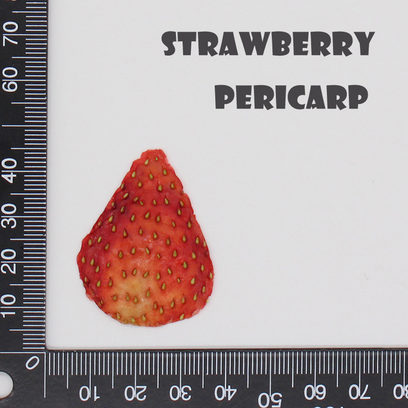 เปลือกสตรอเบอร์รี่