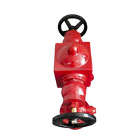 Hydrants d'incendie (à pilier) en fonte ductile rouge de 4 pouces à 2 voies pour extérieur avec vanne - Vente chaude