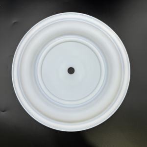 مضخة غشائية مقاومة للتآكل عالية من البولي إيثيلين (PTFE) مع خدمة قطع - Product Image 3