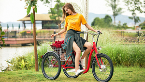 Vélo cargo électrique d'entrepôt UE, tricycle familial néerlandais à 3 roues, 250W, moteur sans balais, cadre en acier, Lastenrad, vélo cargo - Product Image 4