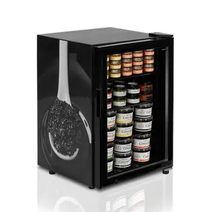 21L Distinctive Mini Upright Store the Caviar Refrigerator