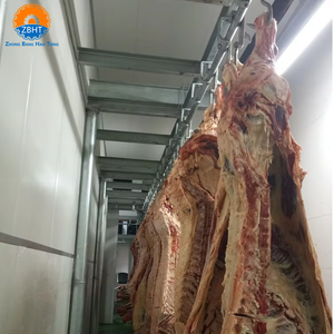Sistema de Rieles Resistentes para Colgar Carne en Mataderos de Ganado, Equipo de Procesamiento - Product Image 2