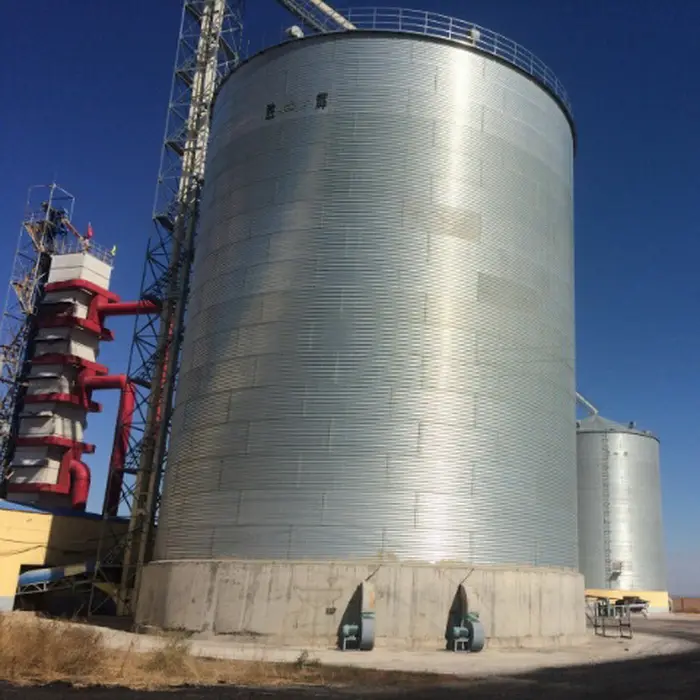 Silo de alimentación de hoja inoxidable con varios tipos de silos de capacidad para granos 8000 7000ton