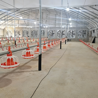 Nouvelle conception de ferme avicole avec système d'élevage automatique en métal et plastique pour poulets, canards, oies et dindes