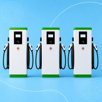 Estación de Carga para Vehículos Eléctricos DC para Hoteles, 120kW, de Pie, Cargador Rápido de Doble Pistola, RFID, Pantalla LCD de 7 Pulgadas, Certificado, Alta Velocidad, WrightCharge