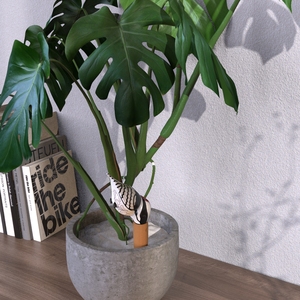 Alta Qualidade Personalizado Woodpecker Shaped Rega Spike Cerâmica Jardim Spike Terracotta Rega Spike para Jardim Irrigação - Product Image 6