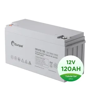 管状Opzv电池平衡器均衡器48V 12V 120Ah 150Ah伊士曼电池