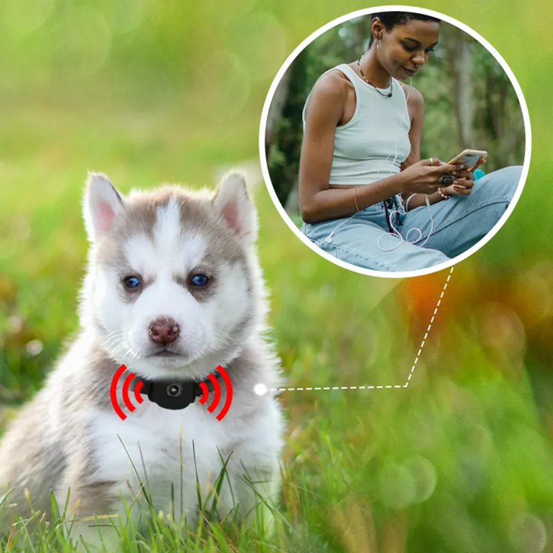 Dispositif de suivi GPS en temps réel anti-perte localisateur d'animaux de compagnie étanche 4G Mini traceur GPS pour animaux de compagnie oiseaux chiens chats avec collier de chien