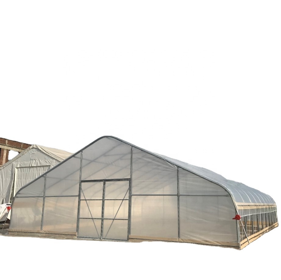 Канада TMG 25ftx100ft Тепличный комнатный тент для выращивания