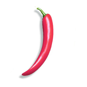 Realistico verdura frutta giocattoli del sesso carota pepe mais cetriolo melanzana USB vibratori classici per le donne - Product Image 3