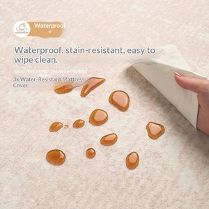 Alfombra para Sala de Estar 2025, Nueva, Impermeable, Silenciosa, Estilo Crema, Lavable, de Alta Calidad, para Dormitorio, Sofá, Mesa de Centro, Alfombra Cuadrada Tejida - Product Image 3