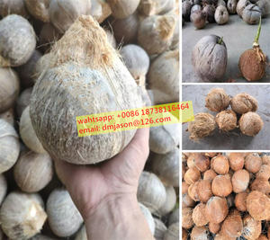 Máquina de Remoção de Casca de Coco Deman 1200-1400pcs/h, Descascador de Coco para Plantas de Processamento de Frutas, Garantia de 1 Ano - Product Image 5