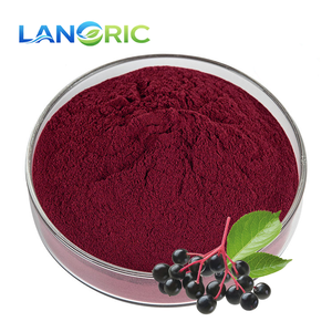 Порошок экстракта бузины оптом от производителя: антоцианы из экстракта бузины - Product Image 1