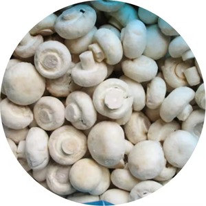 Champignons <span class=keywords><strong>Shiitake</strong></span> Entiers Tranchés Surgelés de Qualité Supérieure Fabricant et Fournisseur en Gros Fiables Champignons Pleurotus Ostreatus Surgelés - Product Image 1