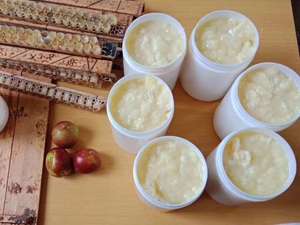 Muestra Gratuita de BEESTAR, Miel de Jalea Real 10-HDA 1.6% Pura y Natural, Orgánica para Reforzar el Sistema Inmunológico, Alimentos y Bebidas Congelados de Alta Calidad - Product Image 5