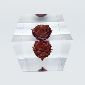 Cono de pino diente de león Rosa Bola de resina epoxi incrustado Lucite cubo UV impreso pisapapeles espécimen acrílico cubo flor pisapapeles - Product Image 3