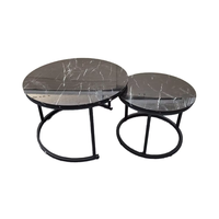 Table d'appoint circulaire en métal durable, style nordique moderne et créatif, combinaison de tables basses de luxe pour salon et mobilier de maison