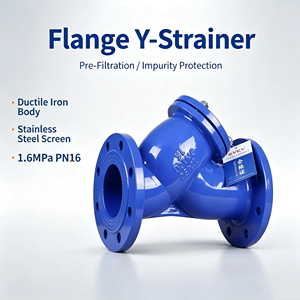 Filtre à bride en fonte ductile de type Y GL43H-16Q avec tamis en acier inoxydable DN40-DN300 pour conduites d'eau et d'eaux usées - Product Image 5