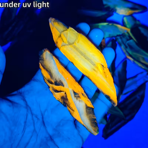 Vente en gros de nouvelles pierres brutes naturelles de calcite, cristaux bruts, pierres précieuses de calcite à vendre - Product Image 6