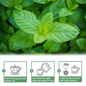 100% Natural Custom Bagged Green Peppermint and <strong>Spearmint</strong> Leaf Teabags Fresh Herbal Mint Loose Leaf for Slimming <strong>Tea</strong> - Product Image 5