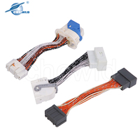 Pabrik disesuaikan semua jenis Auto kawat Harness elektronik kabel konektor perakitan