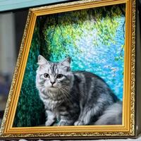 Vente en gros de cadre photo personnalisé peinture à l'huile toile d'art chat planche à gratter chat griffoir nid pour animaux de compagnie planche à gratter