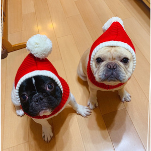 Gorro de Año Nuevo para mascotas, gorro de lana rojo para Shiba Inu, Bulldog Francés, Teddy, Bichón Frisé, Golden Retriever, perro grande, Navidad - Product Image 2