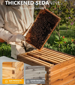 Sistema Avanzado de Cajas de Madera para Colmenas: Diseño Profesional de Observación con Marcos Langstroth Incluidos - Product Image 6