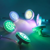 Décorations lumineuses permanentes pour les fêtes, éclairage programmable à LED RGB Pixel, DC24V WS2811, étanche, lumières de Noël pour l'extérieur