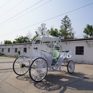 Carroza de Calabaza Eléctrica a Batería, Carro de Boda Eléctrico con Múltiples Asientos, Vehículo de Transporte para Eventos de Cuentos de Hadas, Suministro al por Mayor - Product Image 6