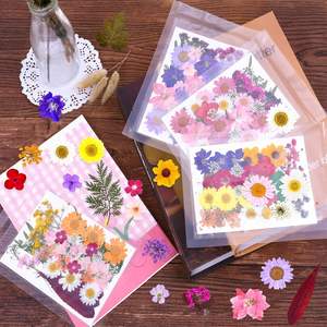Großpackung Natürliche Getrocknete Gepresste Blumen für Kunstharzschmuck – Farbenfrohe Botanicals für DIY Nagelkunst, Seifenhandwerk, Hochzeits-/Oster-Lesezeichen - Product Image 1