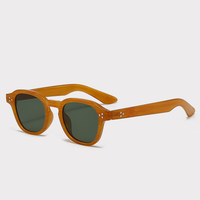 Uv400 Lunettes de soleil pour hommes et femmes TR90 Lunettes de soleil vintage polygonales carrées à monture épaisse Lunettes rétro design de marque de luxe