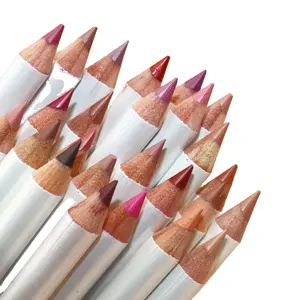 热卖2合1高颜料哑光唇线铅笔私人标签唇彩，带天然防水唇釉，用于化妆
