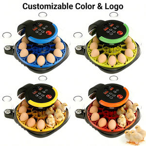 Inkubator Telur Dengan Kamera Pengontrol Suhu Kelembaban Chick Master Kenya Harga Inkubator Otomatis Peralatan Inkubator Unggas - Product Image 3