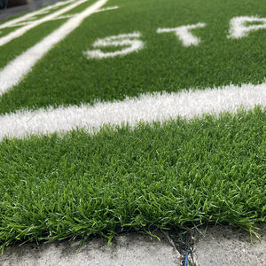 Alfombra de Gimnasio de Césped Sintético Verde de Alta Densidad y Calidad, Alfombra de Césped Artificial de PE PP de 25 mm con Logotipo Personalizado <span class=keywords><strong>para</strong></span> Campo de Fútbol Mini - Product Image 1
