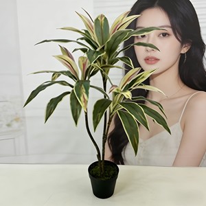 Árbol de Hierro de Sangre de Dragón de Simulación Bicolor Zhu Jiao para Decoración de Escenas de Hotel, Navidad y Graduación - Product Image 5