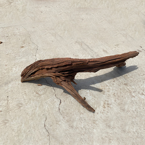 Gỗ Ngải Cứu Tự Nhiên Cho Bể Cá Malaysia Gỗ Ngải Cứu Tự Nhiên Cho Bể Cá - Product Image 5