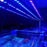 Contrôle de la luminosité du minuterie 55cm-145cm 4 pieds Corail récifal Plante Aquarium LED Lumière d'aquarium avec bleu IP65 CRI80 50000 heures de durée de vie
