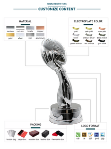 चीन कारखाने सर्वश्रेष्ठ खिलाड़ी ट्राफिट्स कस्टम सुपर अमेरिकी फुटबॉल लीग हैंडबॉल राल ट्रॉफी - Product Image 6