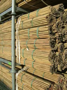 정원/지붕/집을 위한 건축 건물 훈장 대나무 지팡이 대나무 폴란드