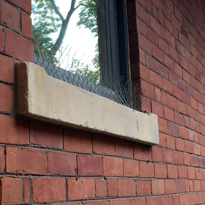 Clôture de jardin en acier inoxydable à contrôle supérieur mural extérieur hautement efficace avec base en plastique <span class=keywords><strong>anti</strong></span>-oiseaux - Product Image 5