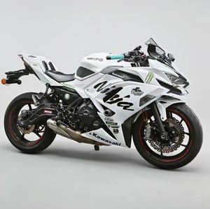 Motocicleta Deportiva <span class=keywords><strong>Kawasaki</strong></span> <span class=keywords><strong>Ninja</strong></span> <span class=keywords><strong>250</strong></span> de 250cc, Bicilíndrica en Paralelo, Refrigerada por Líquido, con ABS - Product Image 6