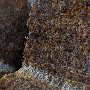 Matières premières exportées en caoutchouc naturel vietnamien SVR20 standard de haute qualité de qualité 20 - Product Image 1